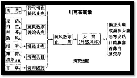Understanding Chuanxiong: The 'Ibuprofen of Traditional Chinese Medicine'