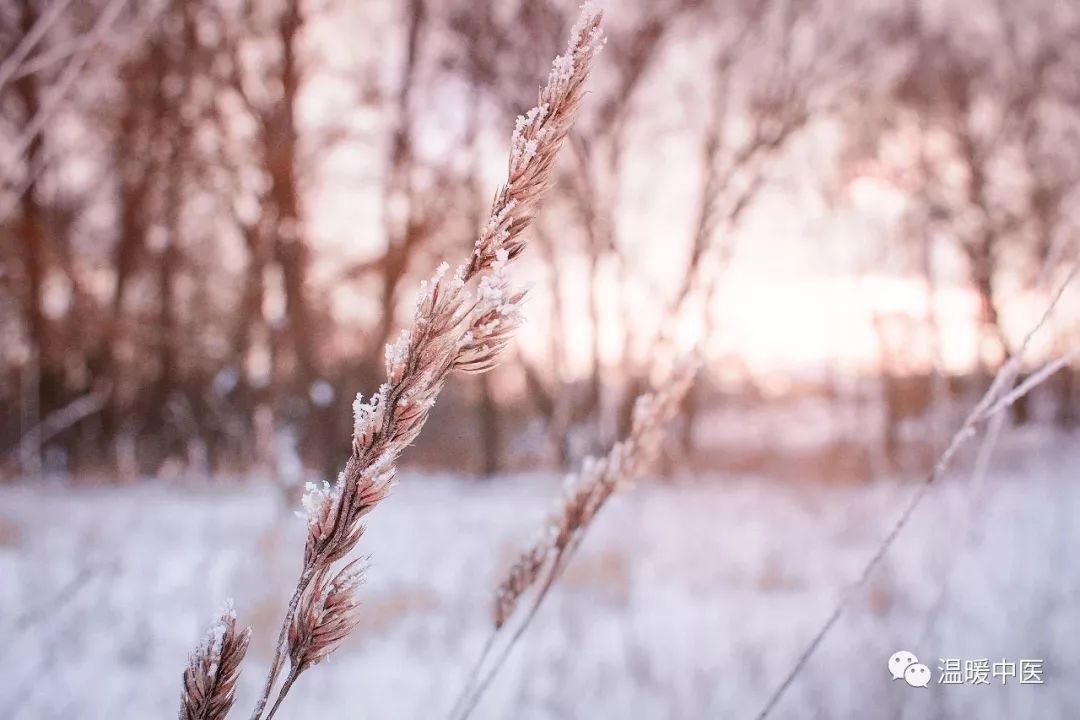 The Century-Old Formula for Warming Yang and Expelling Cold: Warming the Spleen Above and the Kidneys Below