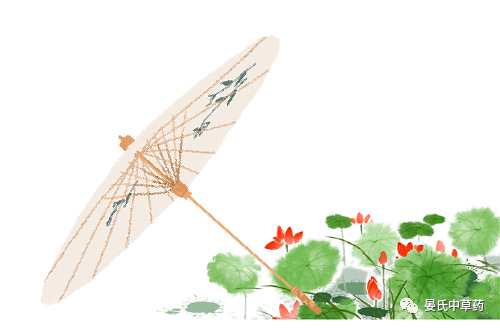 The Marvelous Uses and Contraindications of Huang Qi (Astragalus)