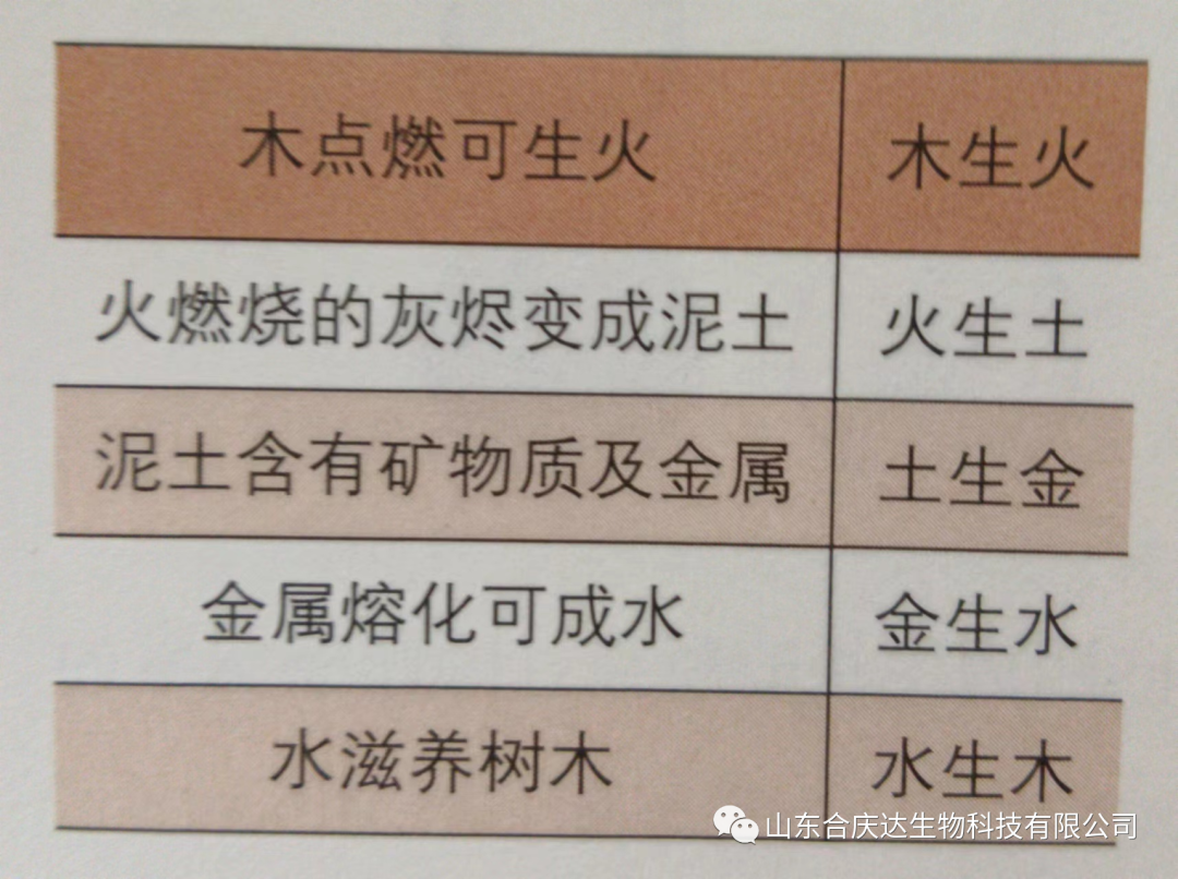 The Relationship Between the Five Elements and the Human Body: How to Regulate the Five Organs Through the Five Elements