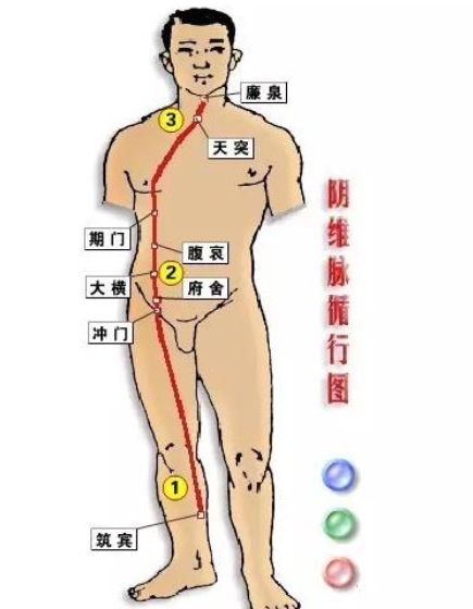 Comprehensive Summary of the Eight Extraordinary Meridians and Their Functions