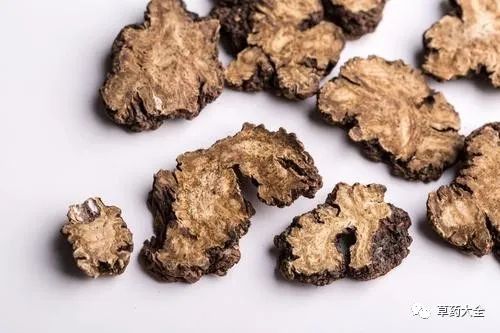 The Efficacy and Functions of Chuanxiong (Ligusticum chuanxiong)