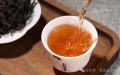 Cinnamon in Traditional Chinese Medicine: A Comprehensive Overview