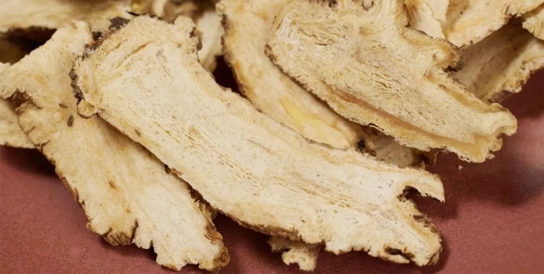 The Indispensable Angelica: A Comprehensive Guide