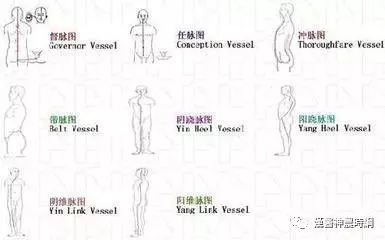 The Extraordinary Eight Meridians in Traditional Chinese Medicine