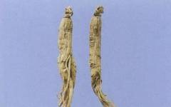 Ginseng: A Comprehensive Overview