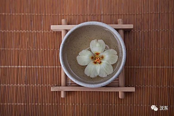 Understanding Yin Deficiency in Traditional Chinese Medicine