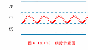 The Twenty-Eight Pulses and All Pulse Patterns in Traditional Chinese Medicine (Animated Illustrations)