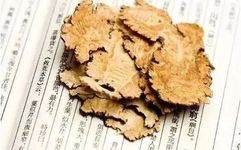 The Efficacy and Functions of Chuanxiong (Ligusticum chuanxiong)