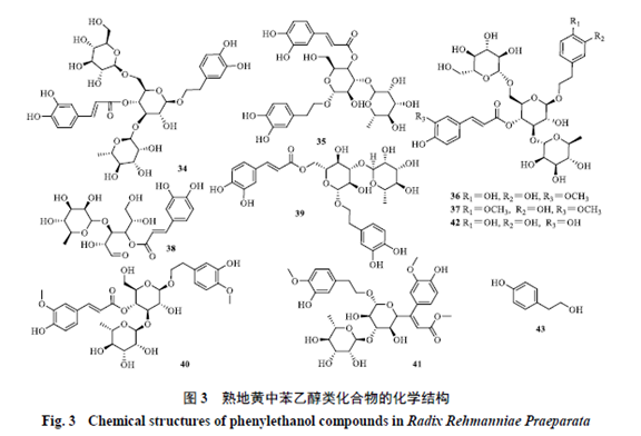 Research Progress on the Pharmacological Basis of Rehmannia Glutinosa