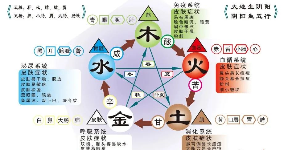 The Best Explanation of the Five Elements in Traditional Chinese Medicine