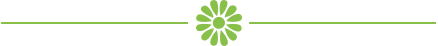 Ginseng | A Comprehensive Guide to Classification