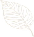 Daily TCM Report: A Dietary Guide for Those with Spleen and Stomach Yang Deficiency