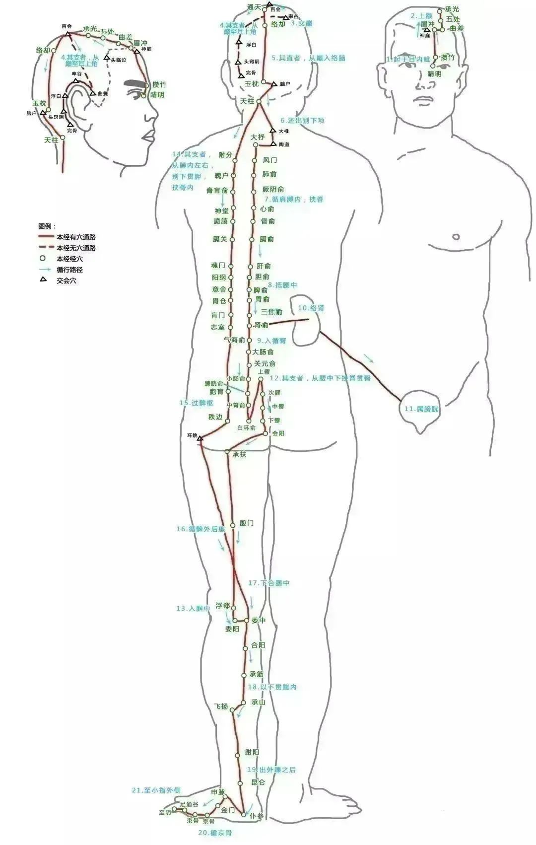 The Pathways of the Twelve Meridians and Acupuncture Points (Answer Version)