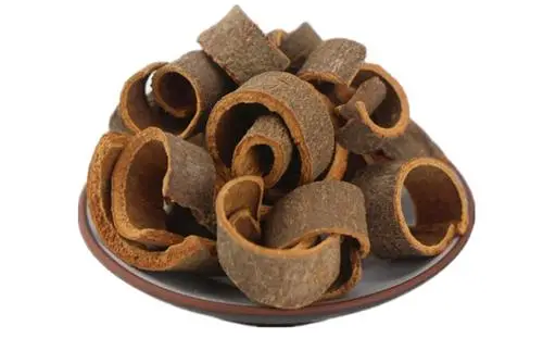 Recommended Formulas by Renowned Physicians | Cinnamon and Shenqi Pill: Nourishing Fire and Supporting Yang, Transforming Qi and Promoting Water Flow