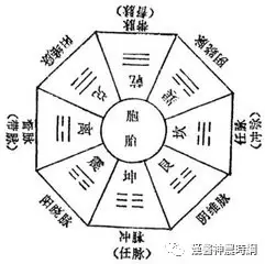 The Extraordinary Eight Meridians in Traditional Chinese Medicine