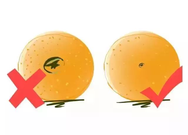 Fruits Classified by Cold and Heat: Eating According to Body Constitution