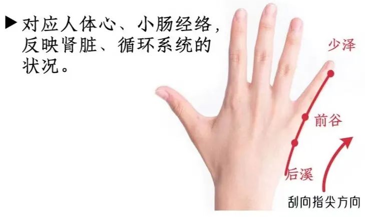Popular Science | Gua Sha for the Hands: Unblocking Meridians