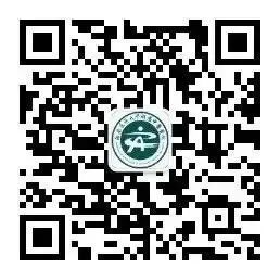 Understanding Daoyin: The Art of Guided Movement in Traditional Chinese Medicine