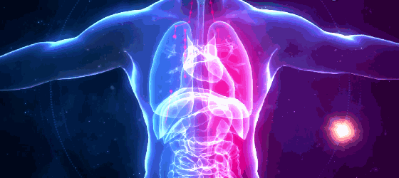 Ni Haixia: A Method to Strengthen the Kidneys and Tonify Qi, Originating from the Huangdi Era, Accessible to Everyone...