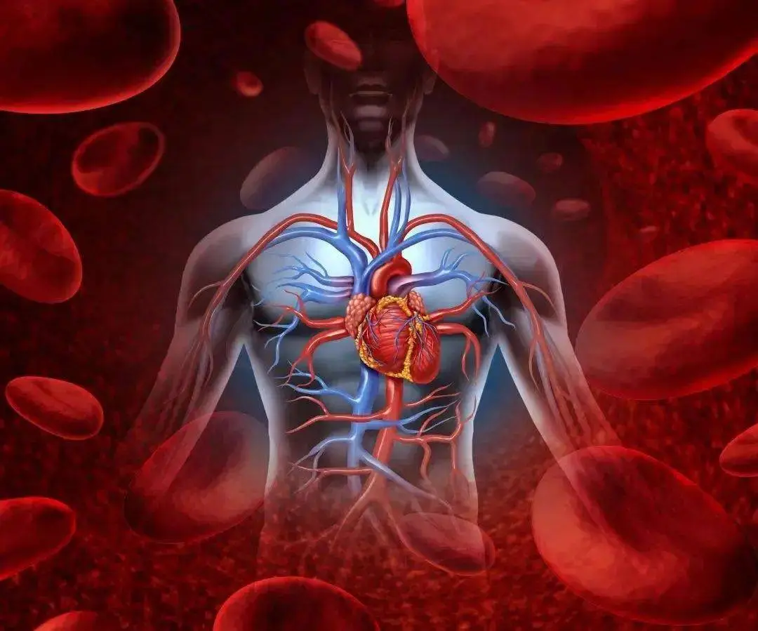 Does Long-term Blood Deficiency Lead to Yin Deficiency? Symptoms and Consequences of Prolonged Blood Deficiency