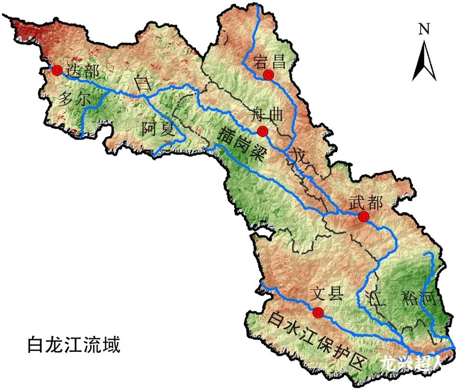 Comprehensive Identification of Codonopsis (Dang Shen): Analysis of Sulfur Fumigation, Origin, Quality, Habitat, Product Specifications, and Production Conditions