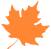 Experience Collection of Fire Needle Therapy