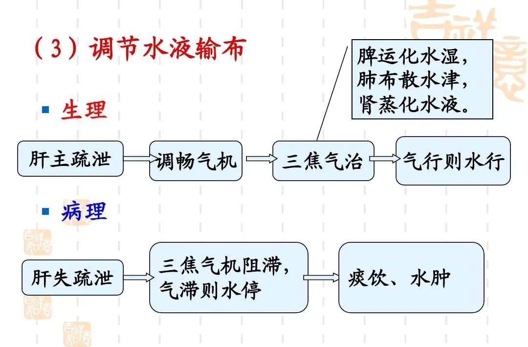 Eliminate Dampness for a Lighter Body: The Timeless Formula of Ling Gui Zhu Gan Decoction for Qi Enhancement and Spleen Strengthening!