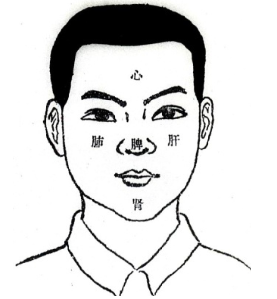 Traditional Chinese Medicine Diagnosis | Observation Diagnosis - Observing Color