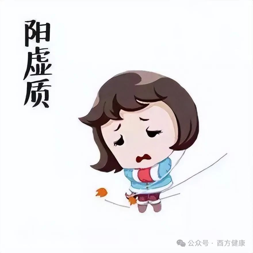 The Nine Types of Constitutions in Traditional Chinese Medicine and Their Health Preservation Methods: Which One Are You?