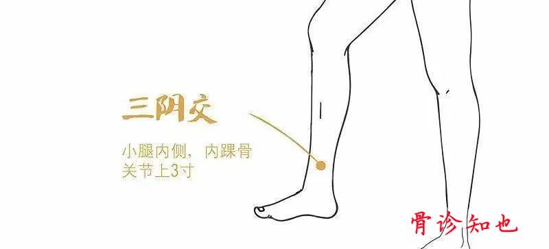 Bloodletting Therapy for 24 Difficult Diseases