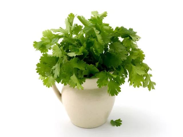 Top Ten Yang-Warming and Cold-Dissipating Ingredients