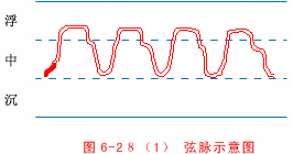 Illustrated Guide to 28 Dynamic Pulse Diagnoses in Traditional Chinese Medicine