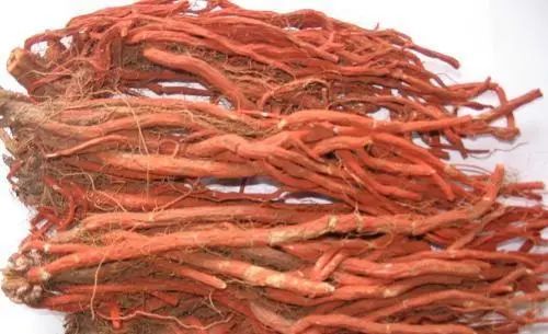 Commonly Used Mongolian Medicinal Material - Dan Shen (Salvia Miltiorrhiza)