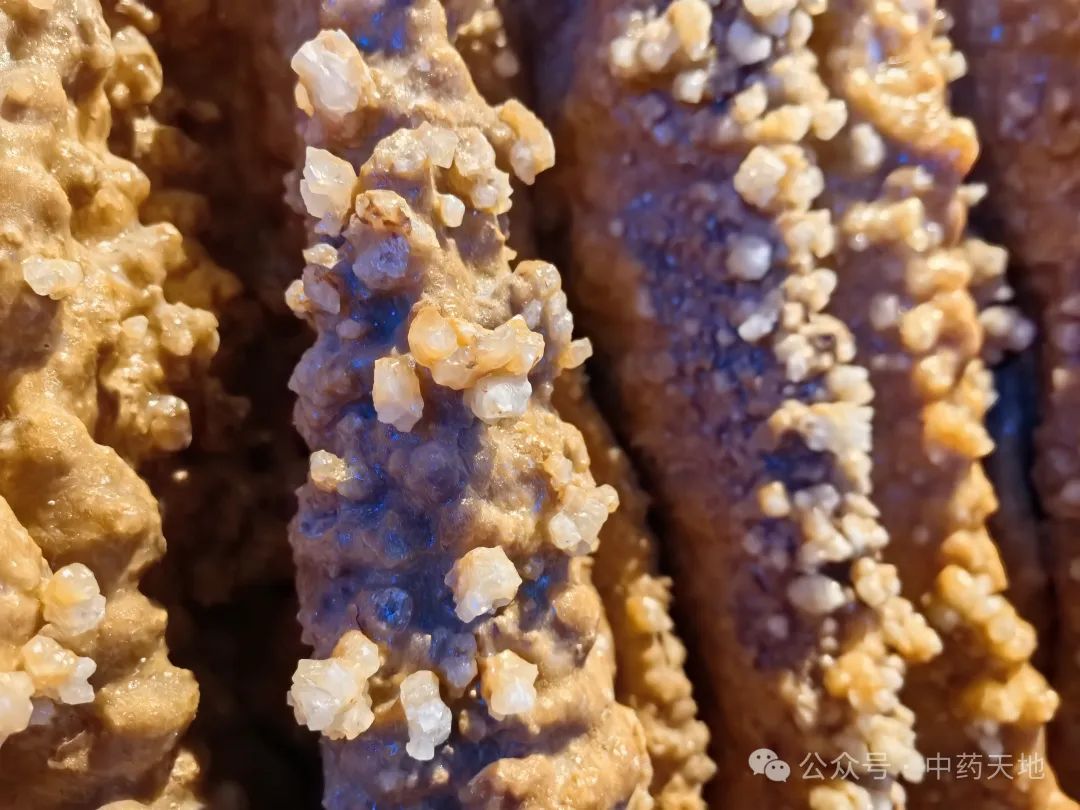Stalactite in Traditional Chinese Medicine