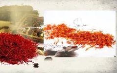 Understanding the Differences Between Saffron (Crocus sativus) and Carthamus (Carthamus tinctorius)