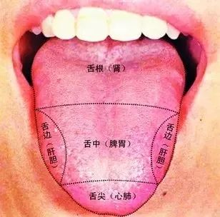 Five Key Points of Tongue Diagnosis in Traditional Chinese Medicine