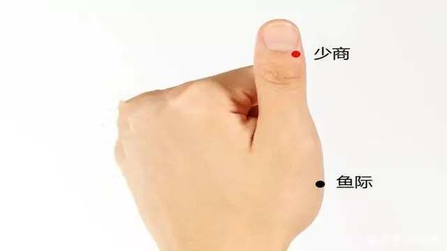 57 Practical Acupuncture Points Everyone Can Use