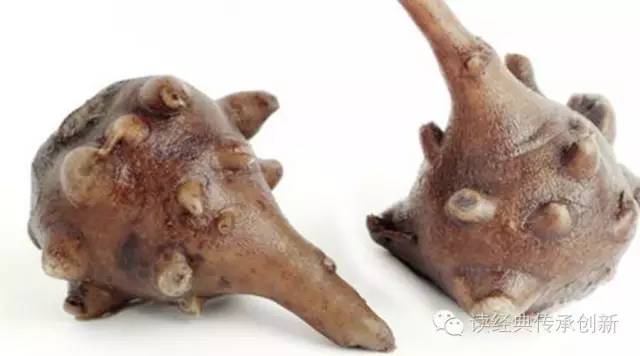 The Application of Fuzi (Aconite) by Dr. Li Ke in Traditional Chinese Medicine