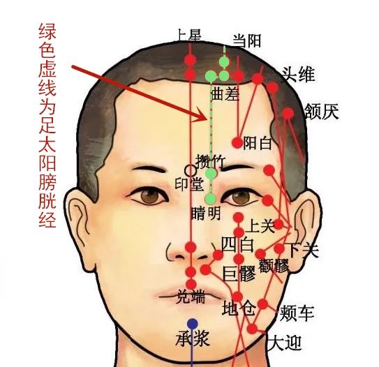 Acupoint Knowledge | Twelve Meridians: The Weizhong Point of the Foot Taiyang Bladder Meridian