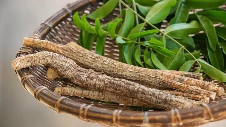 The Art of Medicinal Soup: Seven Practical Combinations for Enhanced Efficacy
