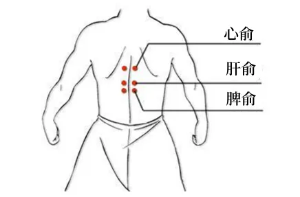 Understanding Qi Deficiency, Blood Deficiency, Yin Deficiency, and Yang Deficiency: How to Regulate Your Health