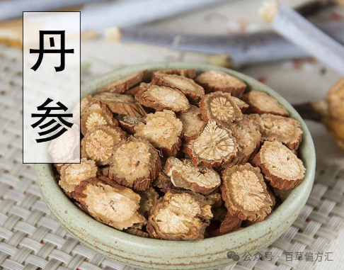 Chinese Herbs: How to Use Dan Shen for Activating Blood Circulation, Calming the Mind, and Managing Liver Cirrhosis