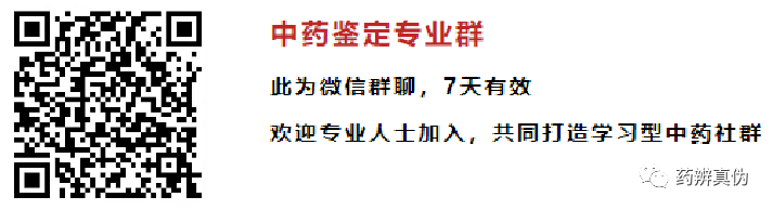 A Comprehensive Guide to Atractylodes (Cang Zhu)