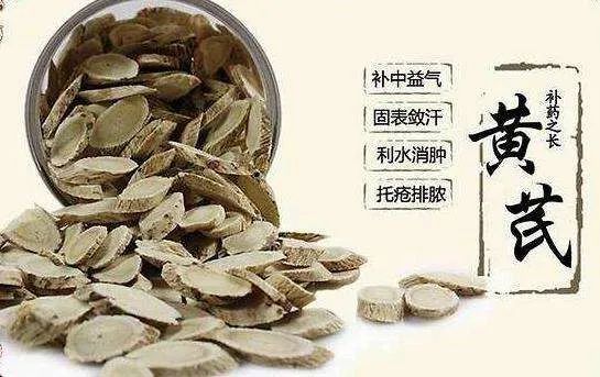 The Functions and Efficacy of Astragalus (Huang Qi), Its Side Effects and Contraindications