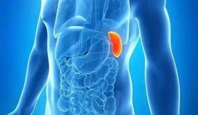 Understanding Cold Conditions in the Heart, Liver, and Kidneys in Traditional Chinese Medicine