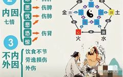 Understanding TCM Diagnosis: Eight Principles and Organ Differentiation to Enhance Your Diagnostic Skills!