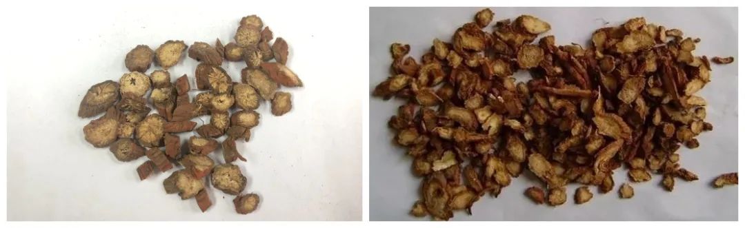 Dan Shen: A Herb for Activating Blood Circulation and Alleviating Pain