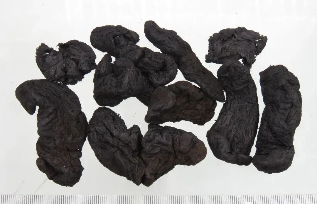 Shudihuang (Rehmanniae Radix Praeparata): Properties, Preparation, and Applications