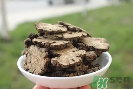 The Efficacy and Therapeutic Uses of Chuanxiong (Ligusticum chuanxiong)